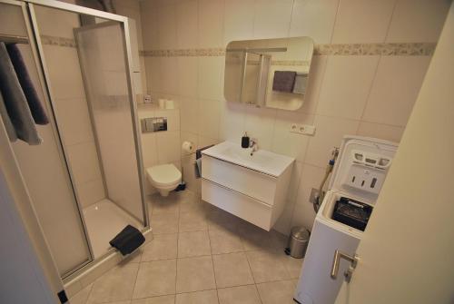 a bathroom with a toilet and a sink and a shower at Apartment AusZeit in Bad Kissingen