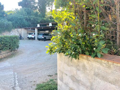 Κήπος έξω από το Residence La Valdana