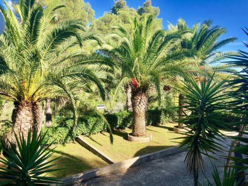 Κήπος έξω από το Residence La Valdana