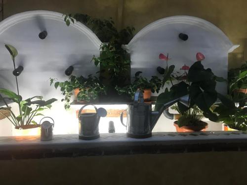 Fotografie z fotogalerie ubytování Hotel Boutique Casa José v destinaci Cobán