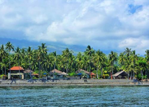 a group of palm trees and houses on a beach at Agung Bali Nirwana Villas and Spa in Tejakula