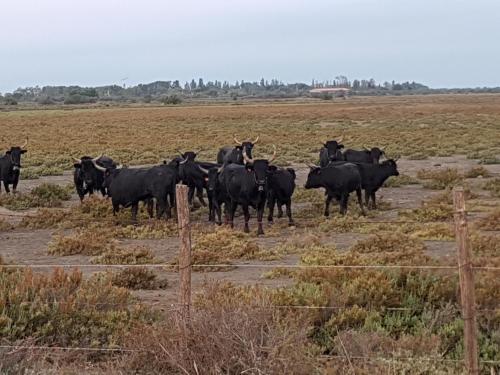 Gallery image of Longo Mai in Le Sambuc