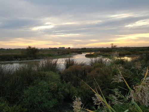 Gallery image of Longo Mai in Le Sambuc