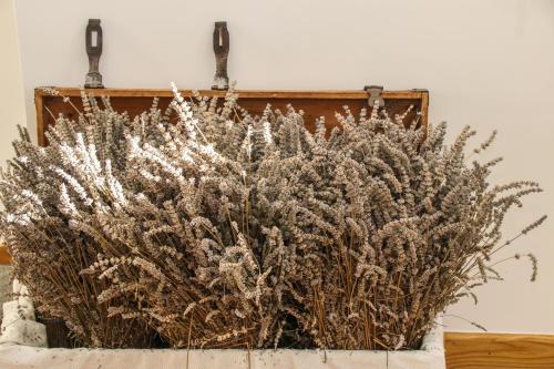 a bouquet of dried plants in a vase at Agriturismo Treterre in Pianello Del Lario