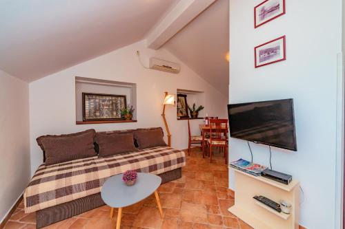 a living room with a couch and a tv at Apartments Bigovo Veljic in Tivat