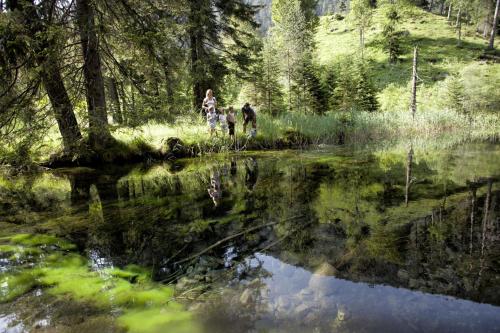two people walking through a forest next to a pond at Alpen Appartements Lärchenhof in Lermoos