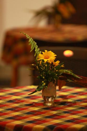 Fotografie z fotogalerie ubytování Surf Orchid Villa v destinaci Weligama