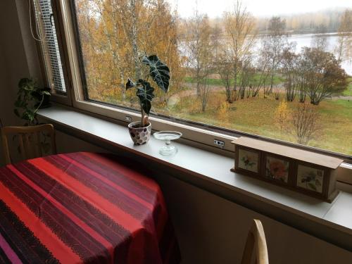 Fotografie z fotogalerie ubytování Yksiö Järvimaisemalla v destinaci Äänekoski