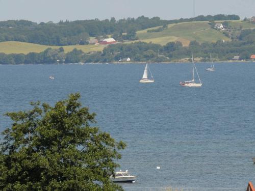 a group of boats floating on a large body of water at 5 person holiday home in B rkop in Egeskov