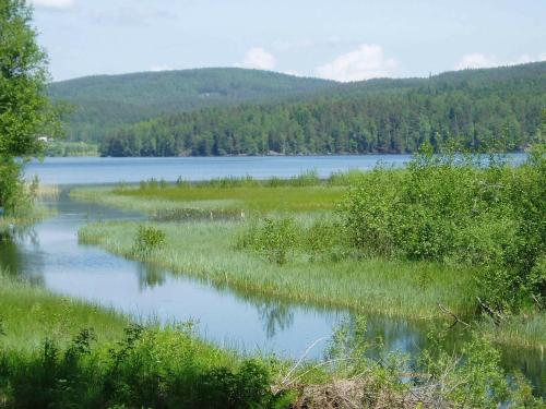 a view of a lake with grass and trees at 5 person holiday home in ARVIKA in Arvika