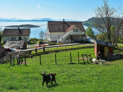a group of animals in a field in front of a house at 6 person holiday home in Onarheim in Onarheim