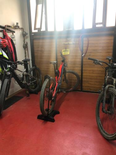 Jízda na kole v ubytování hostal trevol nebo okolí