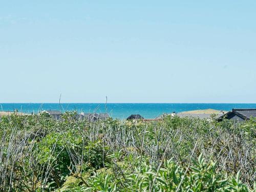 ロッケンにある4 person holiday home in L kkenの海を背景にした草原