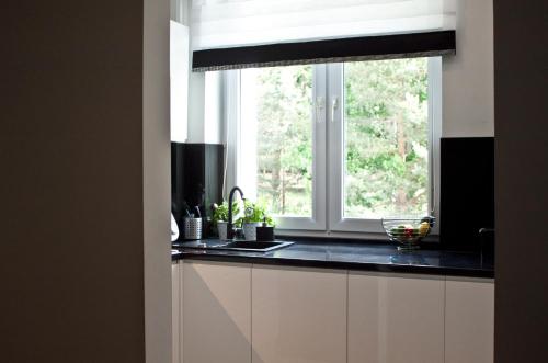 Dapur atau dapur kecil di Aparthotel Przy Plaży