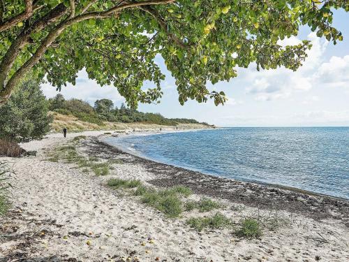 a sandy beach next to the water with a tree at 12 person holiday home in Aakirkeby in Vester Sømarken