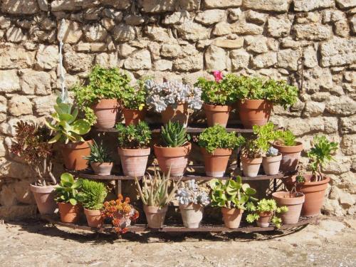 a bunch of potted plants on a shelf against a stone wall at Agriturismo Bannata in Piazza Armerina