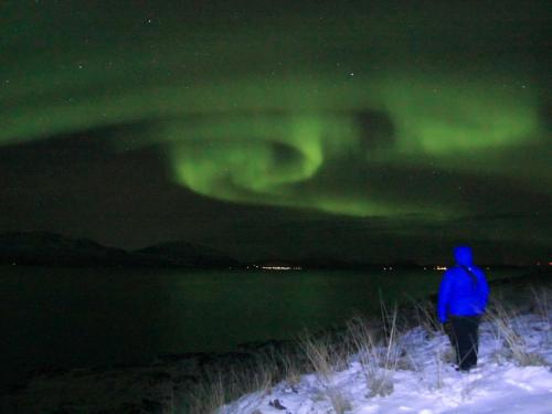 a man standing in the snow looking at the northern lights at 6 person holiday home in Nord Lenangen in Sørlenangen