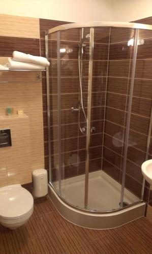 a bathroom with a shower and a toilet at Villa Szamocin in Warsaw