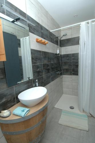 une salle de bain avec un lavabo, un miroir et une douche dans l'établissement Domaine de la Clotte, à Roquefort-des-Corbières
