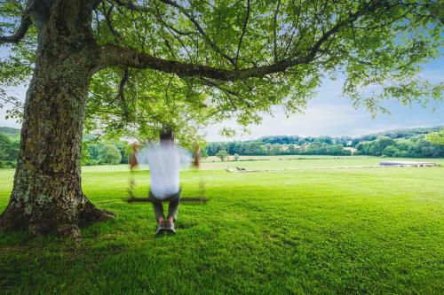 a man walking in a field next to a tree at RETREAT KEYWEEK House with Character Pool Fireplace and Garden in Arcangues