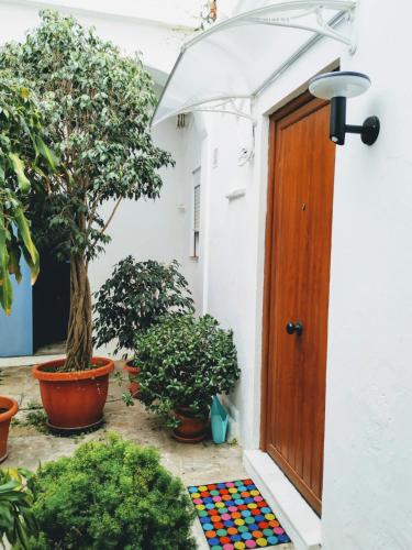 Carola GuestHouse