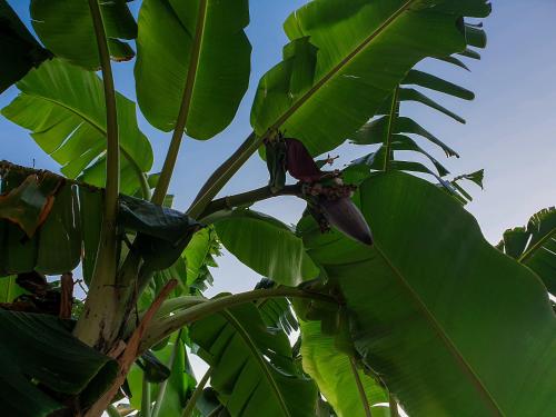 Foto dalla galleria di Angelos Studios a Párga