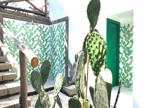a green and white wall with a cactus in front of a door at Casa Lucia in Sorrento