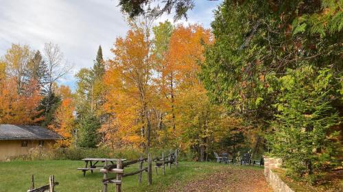 a group of picnic tables in a field with trees at Chalets et Studios Le Vent Du Nord in Lac-Superieur