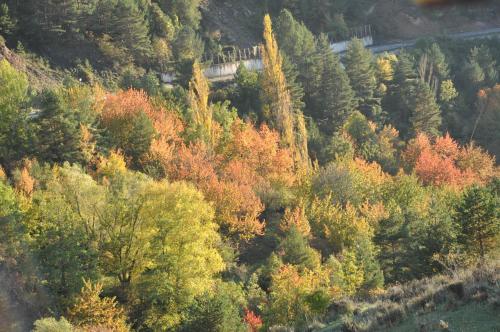a hillside with many trees with a train on it at Casa Rural Molí de Fòrnols in Fornols