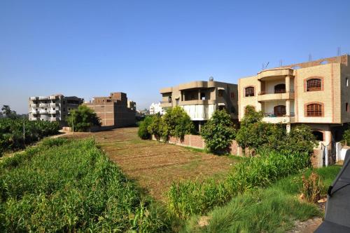 a row of buildings with trees and grass at El Nakhil Hotel in Luxor