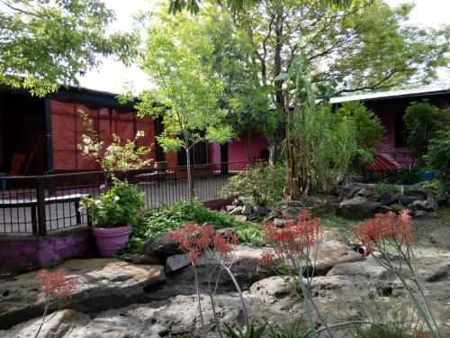 a garden in front of a red house at Hostal El Puesto in Salto