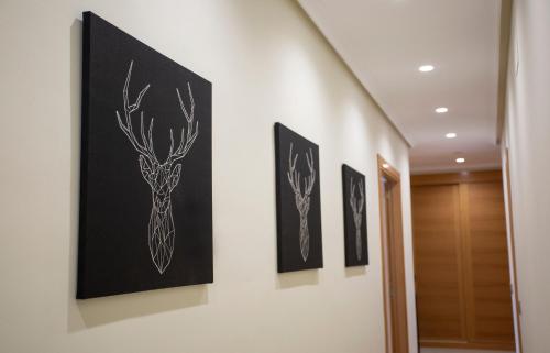 four paintings on a wall in a hallway at Cubell Home in Cuenca