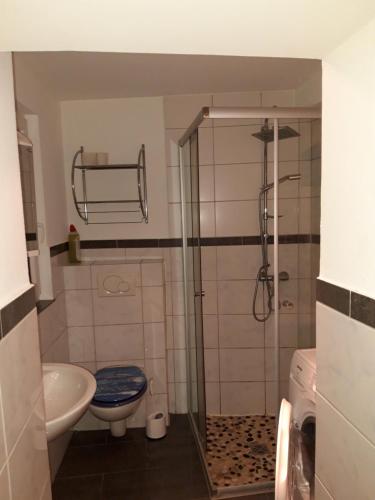 La salle de bains est pourvue d'une douche, de toilettes et d'un lavabo. dans l'établissement Ferienwohnung Castelnau, à Trèves