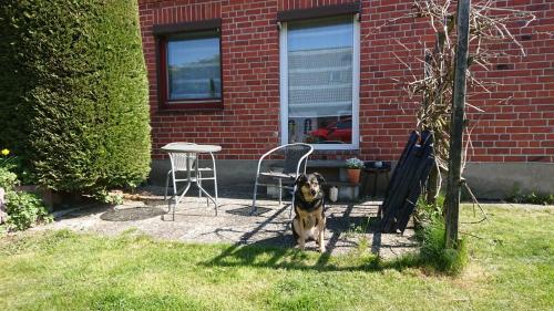 Κήπος έξω από το Wohnung "Orther Hafen" in Bannesdorf auf Fehmarn