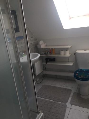 a bathroom with a toilet and a sink at Voltaire in La Turballe