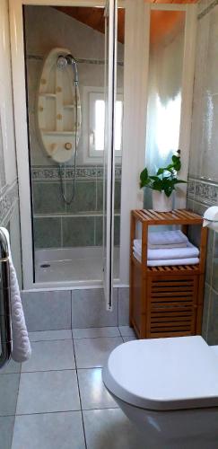 une salle de bain avec douche et toilettes dans l'établissement Maison Bidegain Berria, à Ispoure
