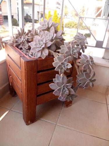 a bunch of flowers in a wooden box at RITSA APARTMENT in Perea