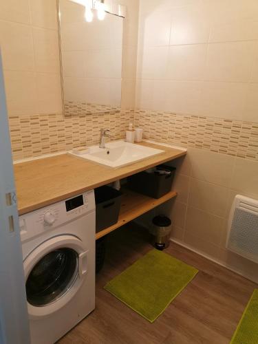 une salle de bain avec un lavabo et une machine à laver dans l'établissement La Limonadière, à Port-la-Nouvelle
