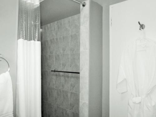 a bathroom with a shower with a shower curtain at Art Lodges in Harare