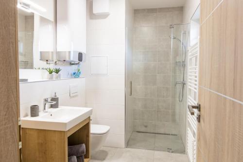 a bathroom with a toilet and a sink and a shower at Apartmány Speicher in Mikulov