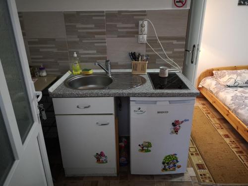 a small kitchen with a sink and a counter top at Tera Nova in Vrdnik