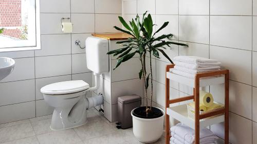 Križevci的住宿－Apartman 13，一间带卫生间和盆栽的浴室