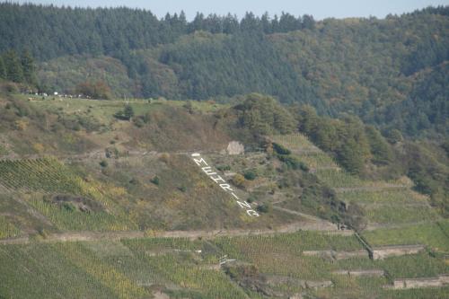 an aerial view of a vineyard on a hill at Ferienwohnung Weinbergblick in Mehring