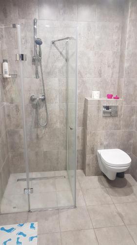 ein Bad mit einer Dusche und einem WC in der Unterkunft Apartament 112 in Kwidzyn