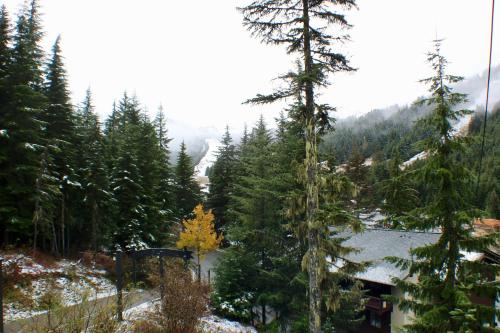 Gallery image of Crystal Chalets in Greenwater
