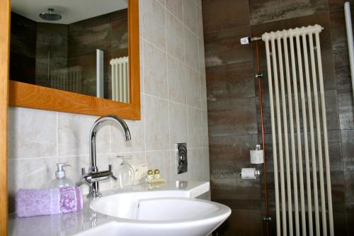 a bathroom with a sink and a mirror at B&B Le Tapis Rouge in Vielsalm