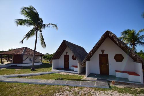 a house on the beach with a palm tree at Pousada Velho Bateau in Atins