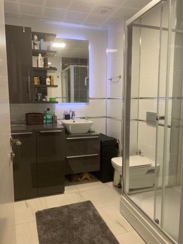 a bathroom with a sink and a toilet and a shower at Baby’s Apartment in Skopje