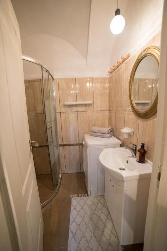 a bathroom with a shower and a toilet and a sink at Colonial Ultra Center Apartment in Cluj-Napoca