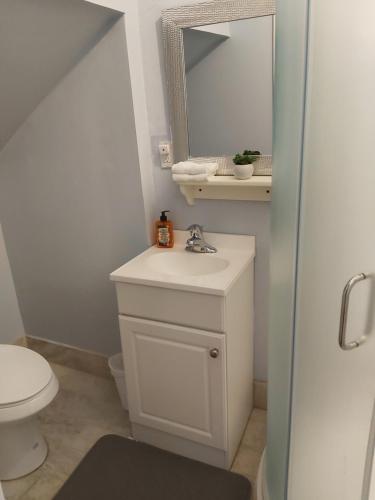 a bathroom with a toilet and a sink and a mirror at Blue Spruce Bed and Breakfast Muskoka in Gravenhurst